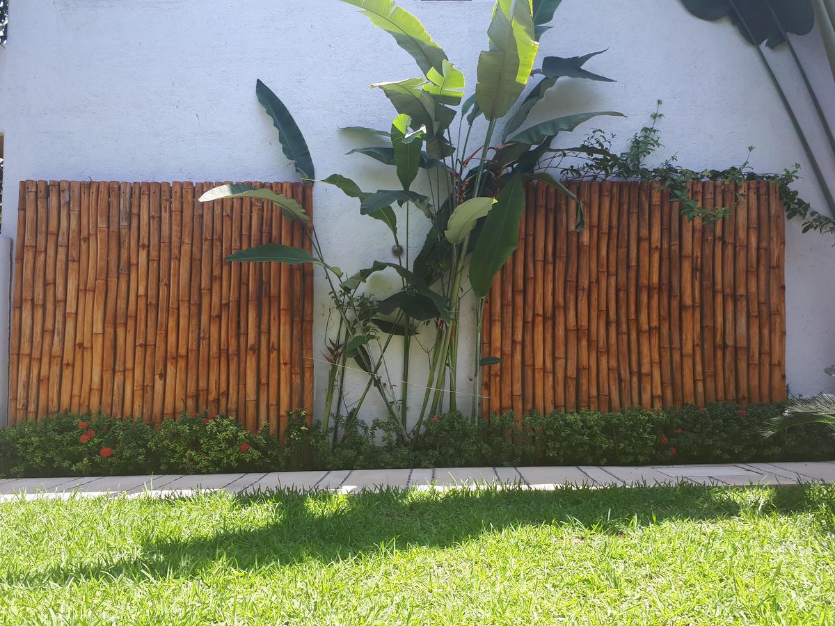 Casa Luz de Luna Zihuatanejo Exterior foto